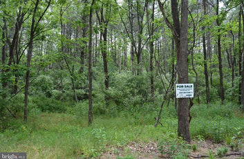 20 ACRES OF WOODED LAND IN FREDERICK COUNTY VA-37
