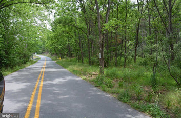 20 ACRES OF WOODED LAND IN FREDERICK COUNTY VA-38