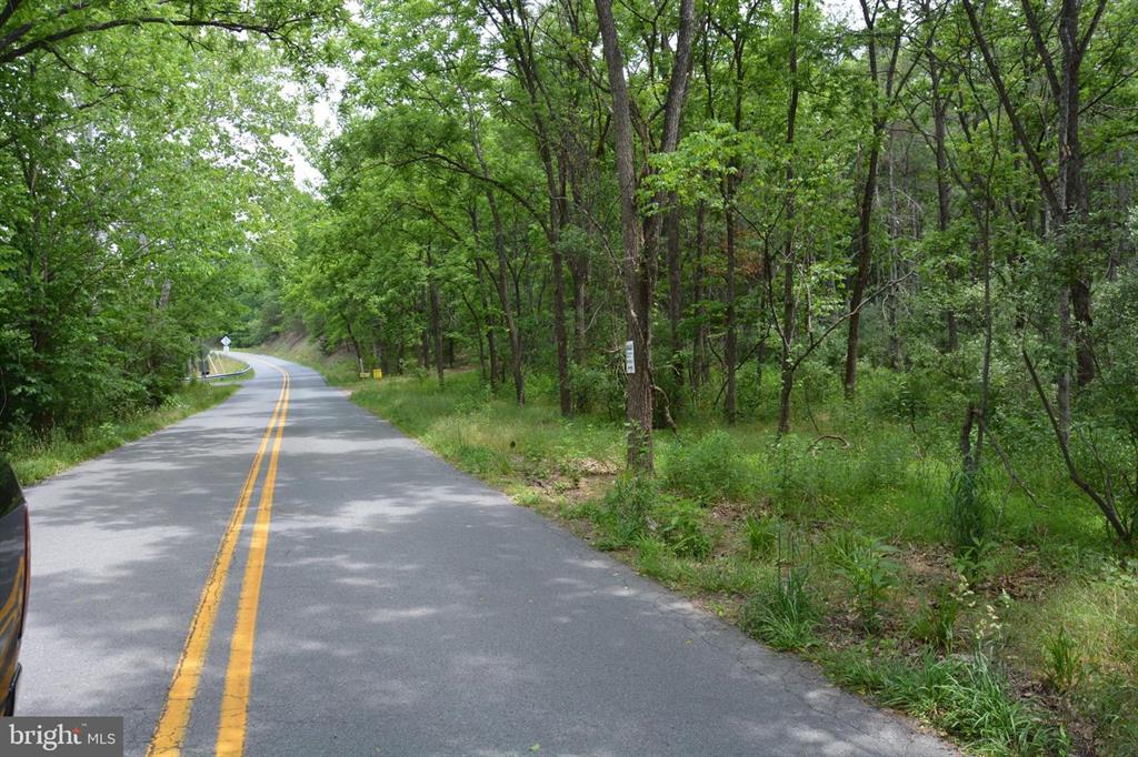 20 ACRES OF WOODED LAND IN FREDERICK COUNTY VA