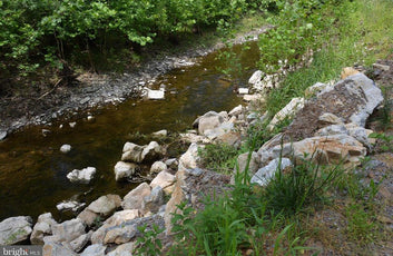 20 ACRES OF WOODED LAND IN FREDERICK COUNTY VA-4