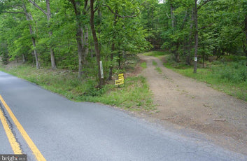 20 ACRES OF WOODED LAND IN FREDERICK COUNTY VA-7