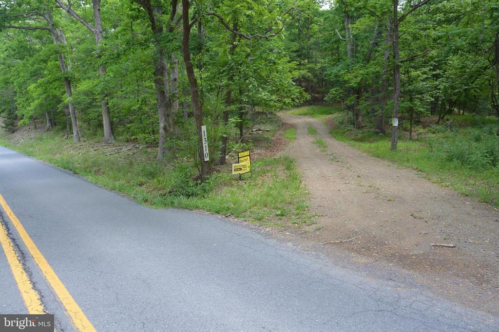 20 ACRES OF WOODED LAND IN FREDERICK COUNTY VA