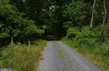 20 ACRES OF WOODED LAND IN FREDERICK COUNTY VA-8