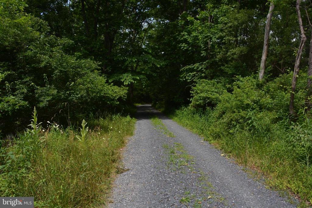 20 ACRES OF WOODED LAND IN FREDERICK COUNTY VA
