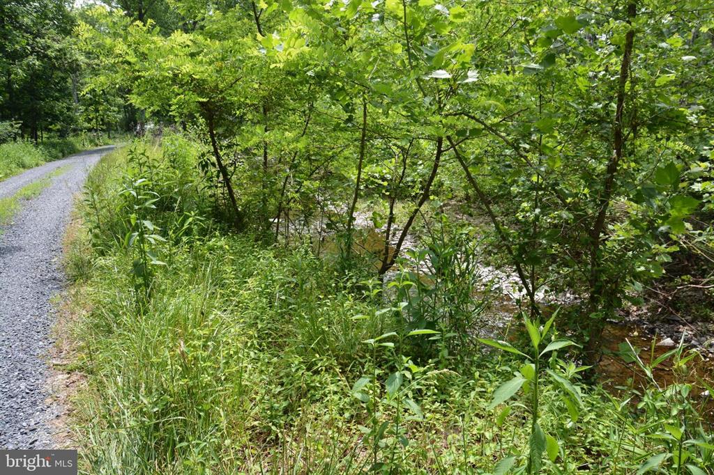 20 ACRES OF WOODED LAND IN FREDERICK COUNTY VA