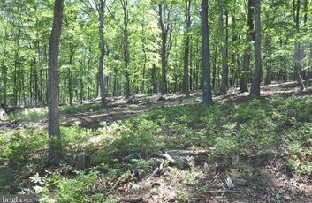 9.59 ACRES LAND, FILES CHAPEL DRIVE, WINCHESTER VA-1