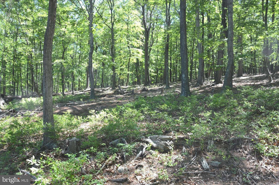 9.59 ACRES LAND, FILES CHAPEL DRIVE, WINCHESTER VA