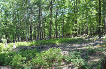 9.59 ACRES LAND, FILES CHAPEL DRIVE, WINCHESTER VA-2