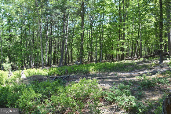 9.59 ACRES LAND, FILES CHAPEL DRIVE, WINCHESTER VA