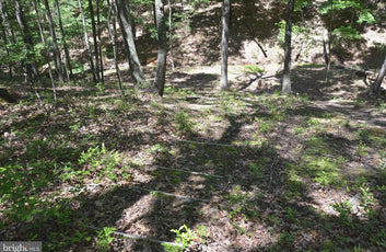 9.59 ACRES LAND, FILES CHAPEL DRIVE, WINCHESTER VA-3