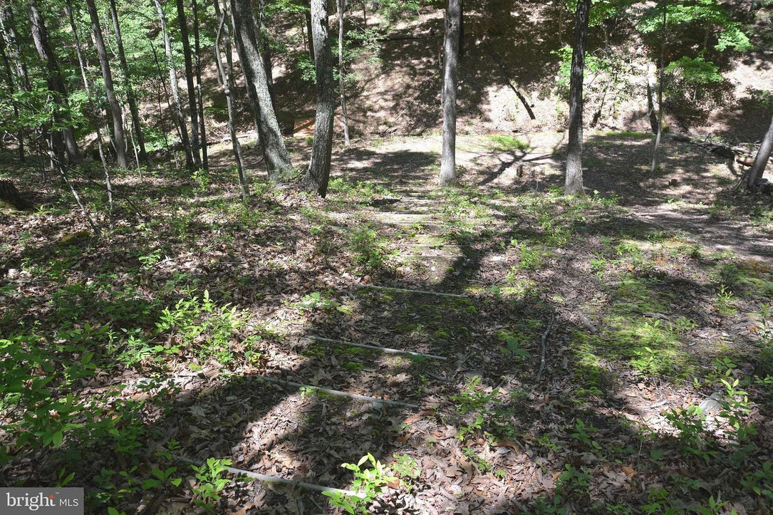 9.59 ACRES LAND, FILES CHAPEL DRIVE, WINCHESTER VA