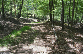 9.59 ACRES LAND, FILES CHAPEL DRIVE, WINCHESTER VA-4