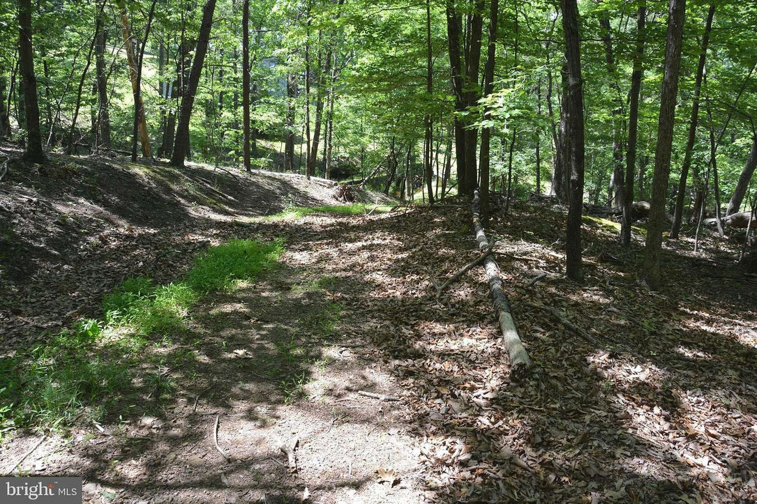 9.59 ACRES LAND, FILES CHAPEL DRIVE, WINCHESTER VA