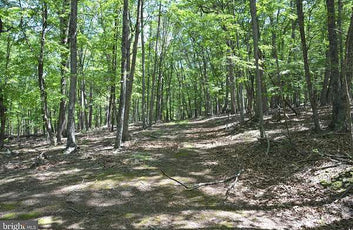 9.59 ACRES LAND, FILES CHAPEL DRIVE, WINCHESTER VA-5