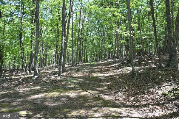 9.59 ACRES LAND, FILES CHAPEL DRIVE, WINCHESTER VA