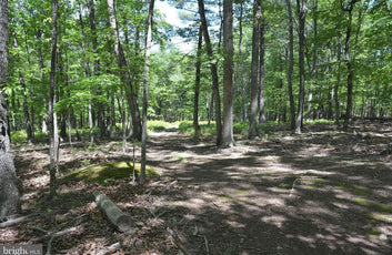 9.59 ACRES LAND, FILES CHAPEL DRIVE, WINCHESTER VA-6