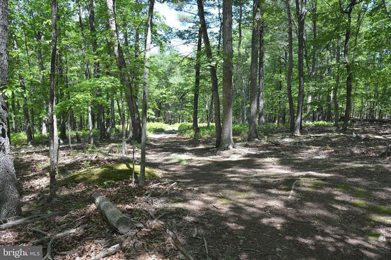 9.59 ACRES LAND, FILES CHAPEL DRIVE, WINCHESTER VA