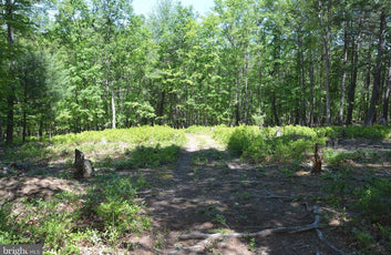 9.59 ACRES LAND, FILES CHAPEL DRIVE, WINCHESTER VA-7