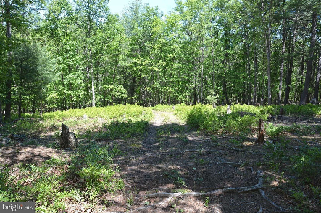 9.59 ACRES LAND, FILES CHAPEL DRIVE, WINCHESTER VA