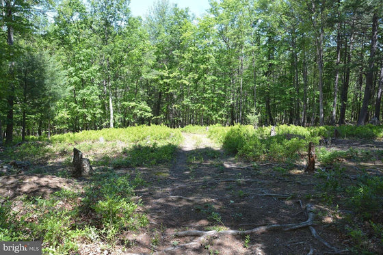 9.59 ACRES LAND, FILES CHAPEL DRIVE, WINCHESTER VA